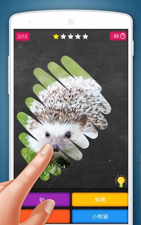 刮刮卡游戏：动物测验
