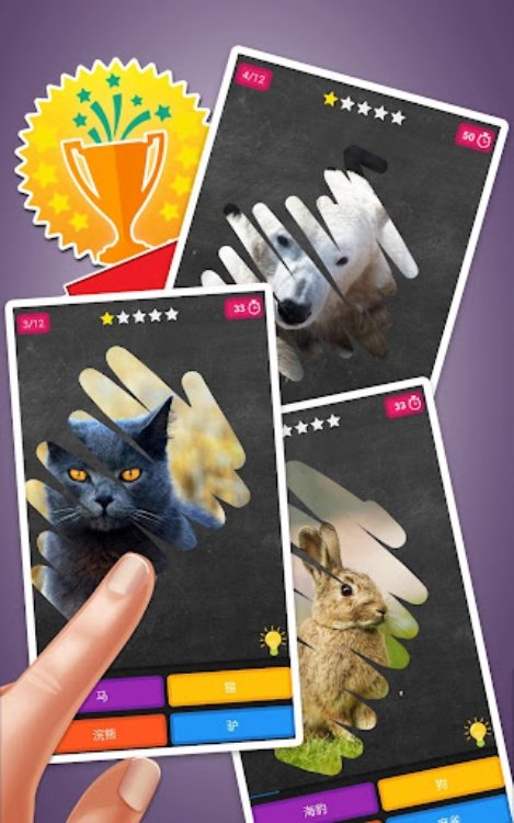 刮刮卡游戏：动物测验
