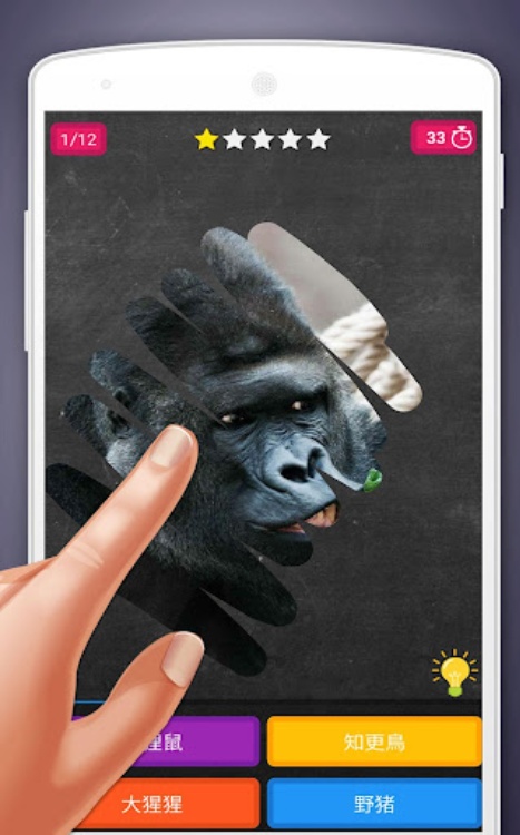 刮刮卡游戏：动物测验