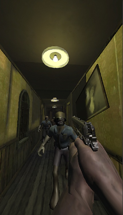 The Last Survivor  Zombies