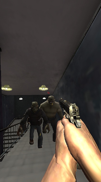 The Last Survivor  Zombies