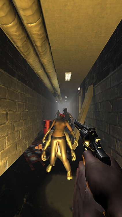 The Last Survivor  Zombies