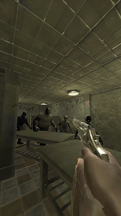 The Last Survivor  Zombies