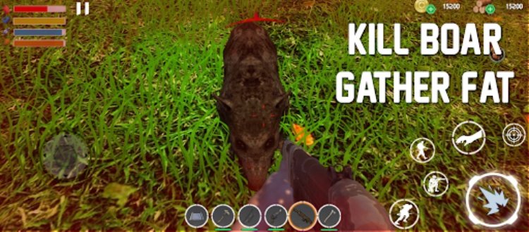 Dead Survival Island 2