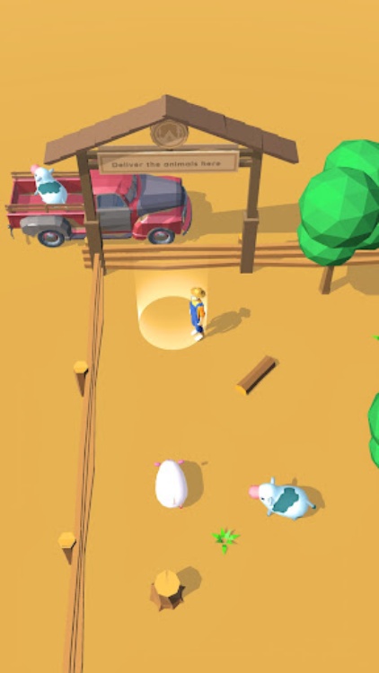 Animal Express