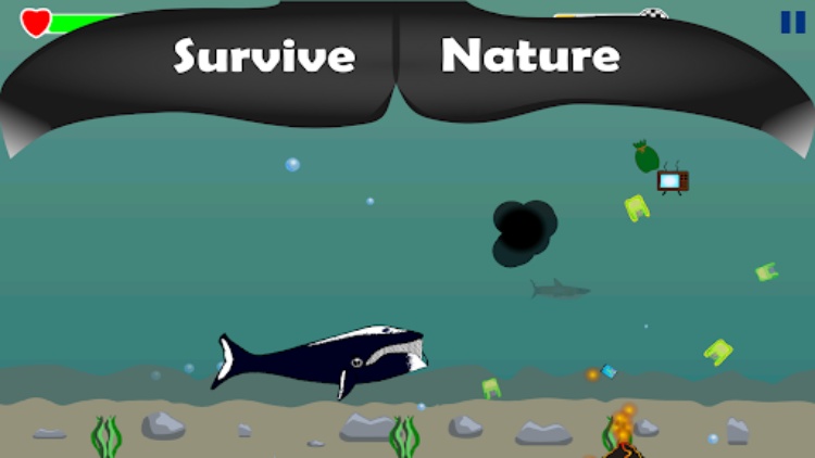 Whali Waste Survival