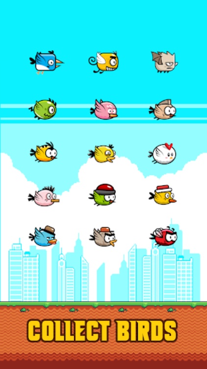 Super Smash Bird