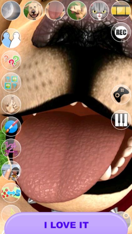 说到约翰狗：狗滑稽