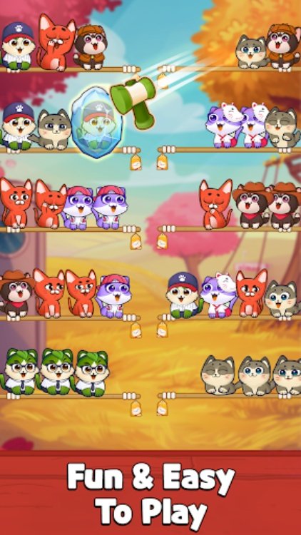 Cat Sort Puzzle: Cute Pet Game
