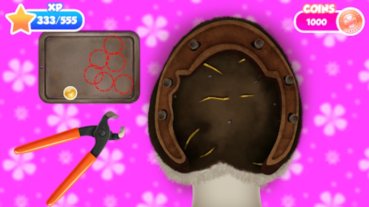 Princess Horse Caring