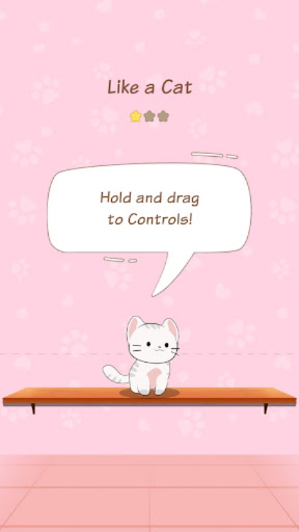 Magic Cats: Cute Cat Music!