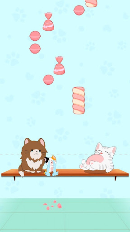 Magic Cats: Cute Cat Music!