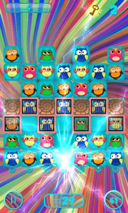 Crazy Owls