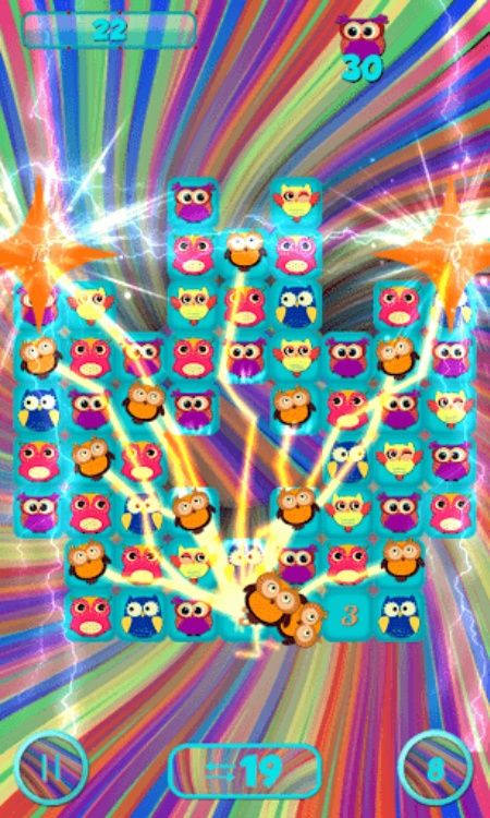 Crazy Owls