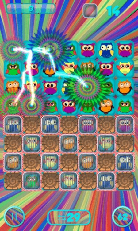 Crazy Owls