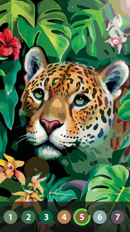 Oil Painting Paint by Number