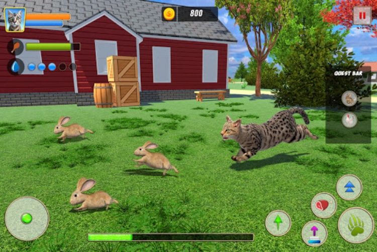 Cat Family Simulator: Wild Cat