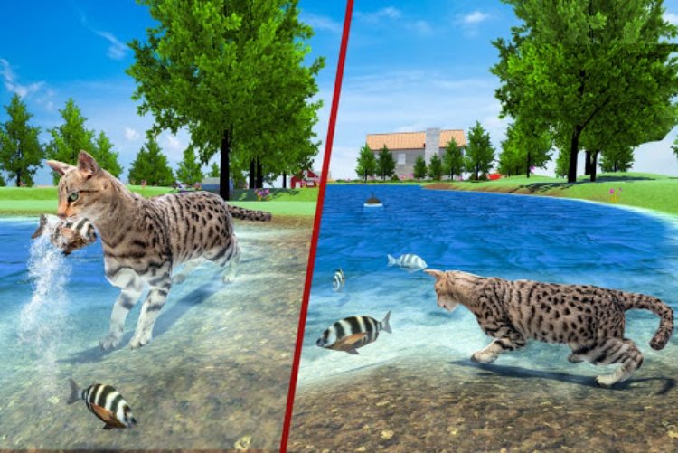 Cat Family Simulator: Wild Cat