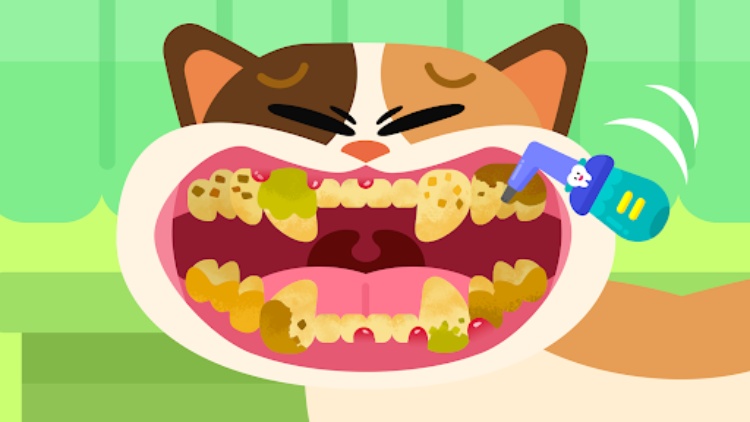 Cocobi Animal Hospital Doctor