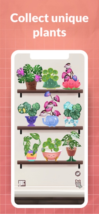 Kinder World: Wellbeing Plants