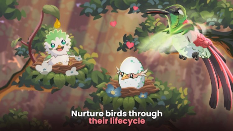 Bird Kind