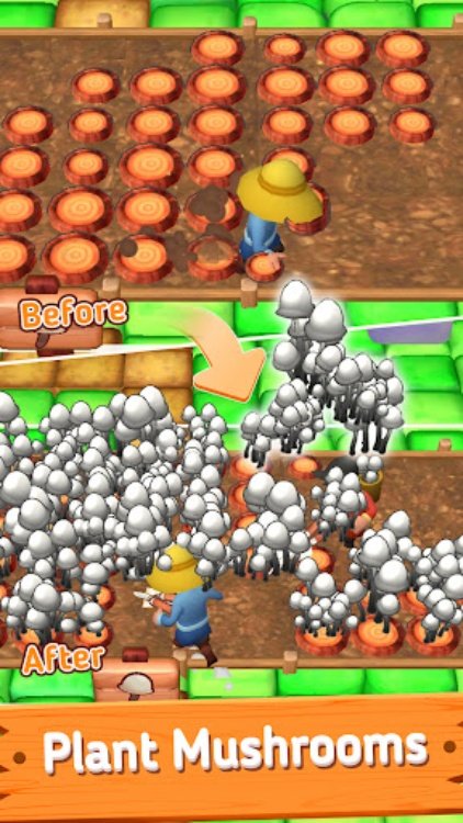 Mushroom Farm