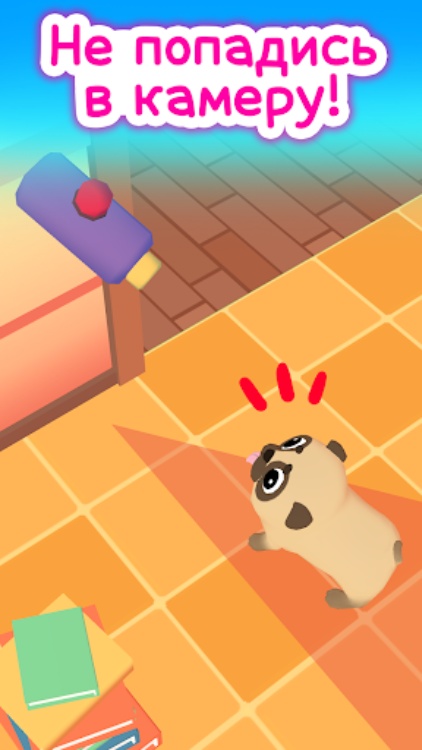 Hoootdogs Hide&Seek