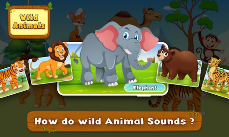 Animal Sounds