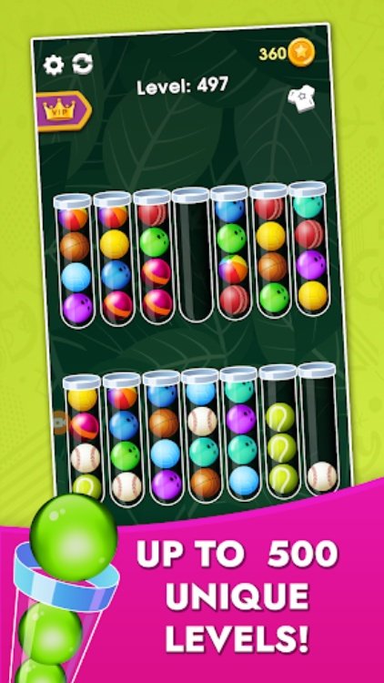 Color Sort Puzzle  Ball Game