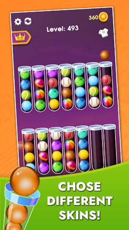 Color Sort Puzzle  Ball Game
