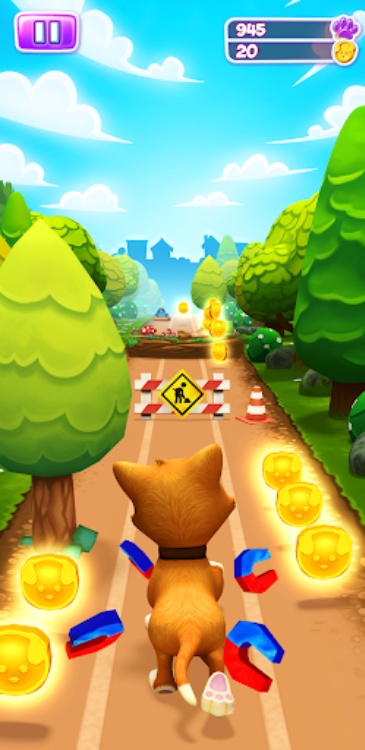 Pet Run  Puppy Dog Game