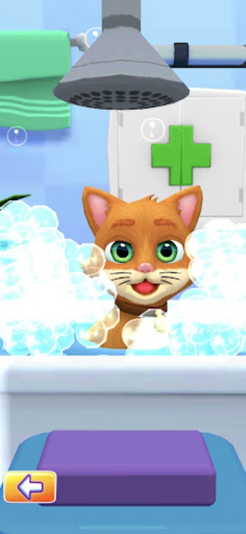 Pet Run  Puppy Dog Game