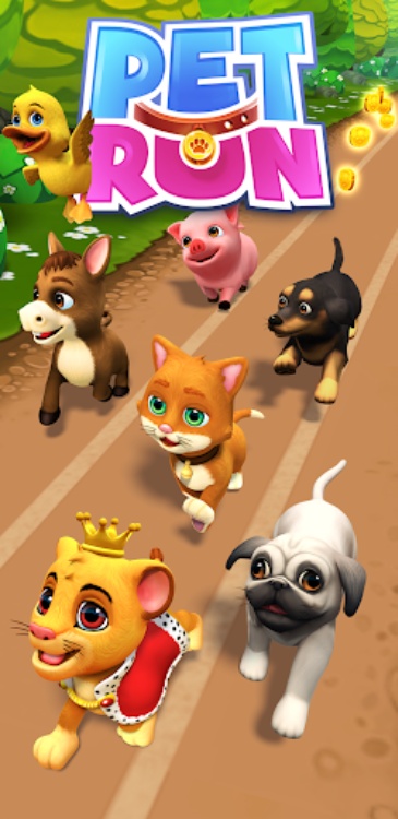 Pet Run  Puppy Dog Game