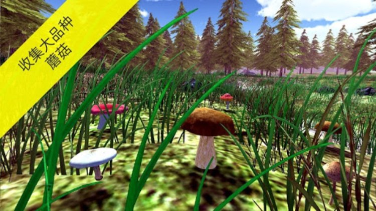 真实采集蘑菇模拟器 [Real Mushroom Hunti