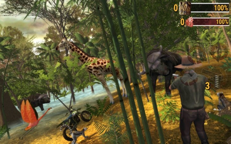 Safari: Online Evolution