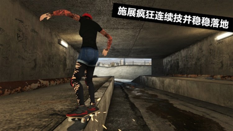 Skateboard Party 3