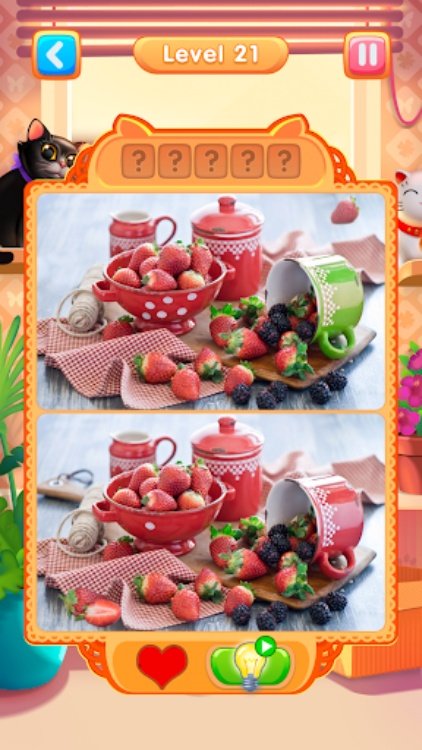 Meow  Find The Differences