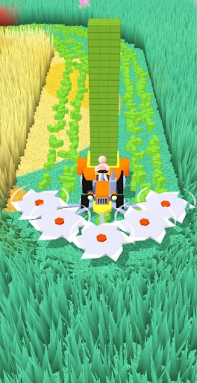 Grass Ranch