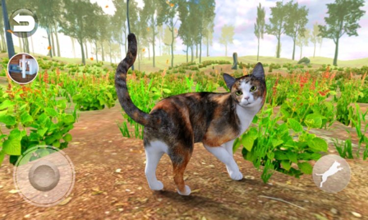 会说话的印花布猫