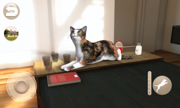 会说话的印花布猫