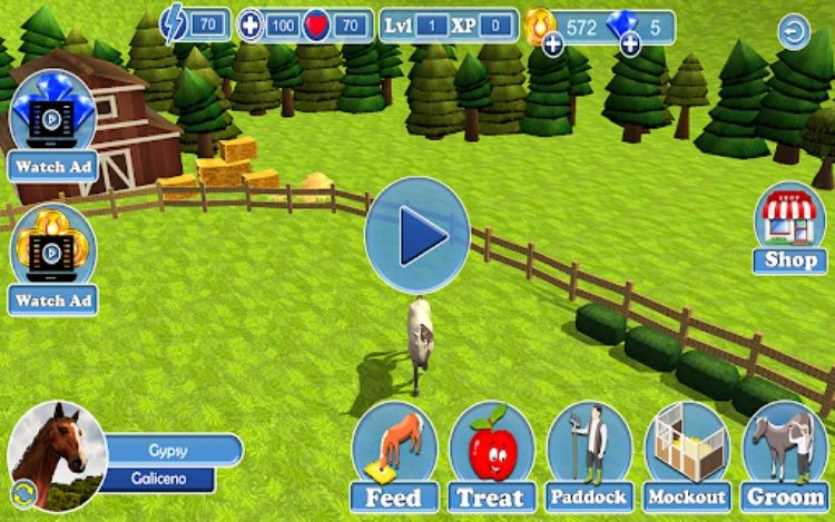 Real Horse Racing World Rider
