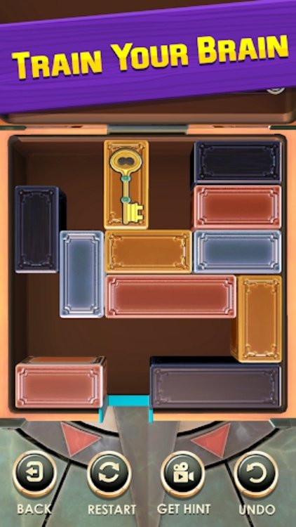 Unblock Puzzle: Slide Blocks