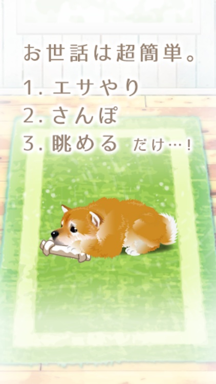 癒しの子犬育成ゲーム〜柴犬編〜