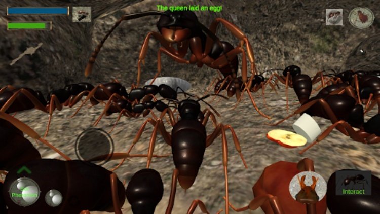 Ant Simulation 3D  Insect Sur
