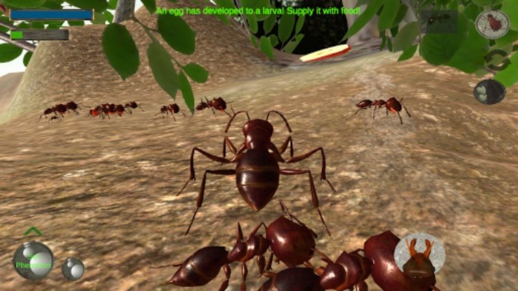 Ant Simulation 3D  Insect Sur