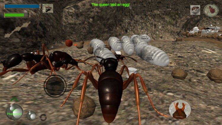 Ant Simulation 3D  Insect Sur