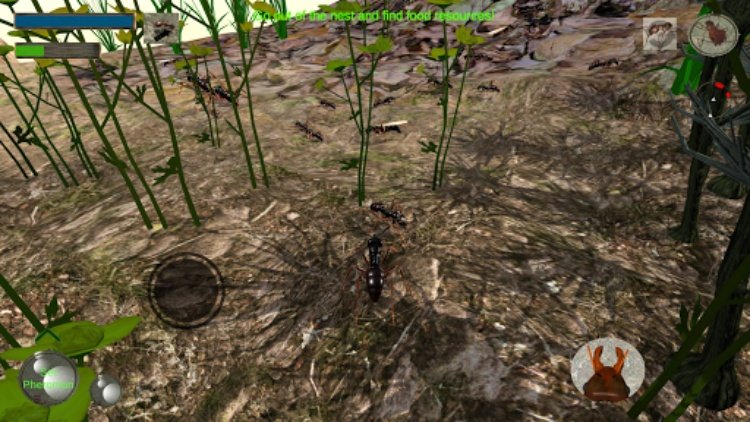 Ant Simulation 3D  Insect Sur