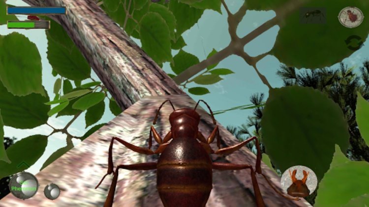 Ant Simulation 3D  Insect Sur