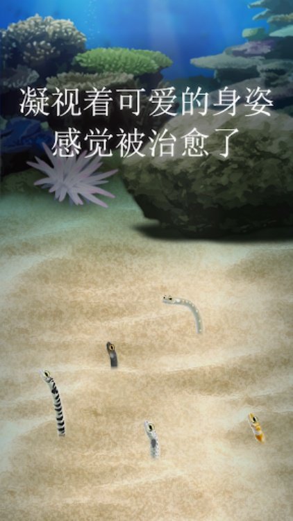 治愈的斑鳝花园育成游戏