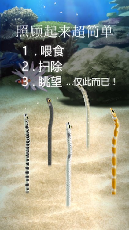 治愈的斑鳝花园育成游戏